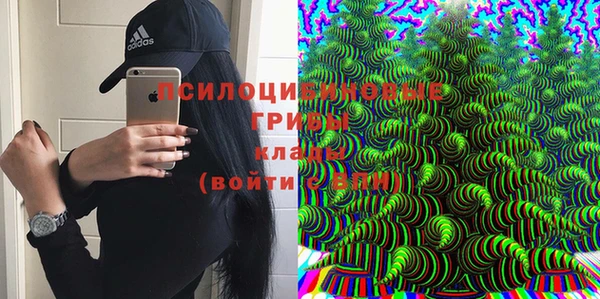 а пвп мука Алзамай
