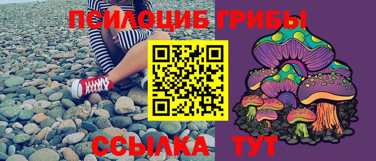 Тейково  Псилоцибиновые грибы GOLDEN TEACHER  Псилоцибиновые грибы Magic Shrooms  Вход с VPN 